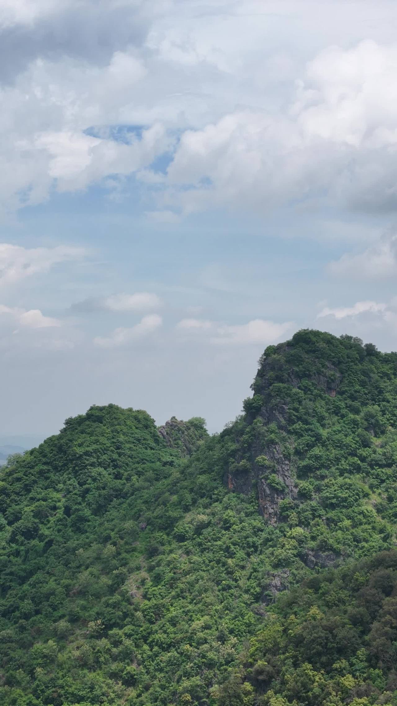 山间绿意盎然