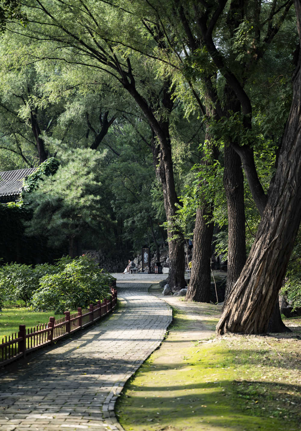 幽径小路