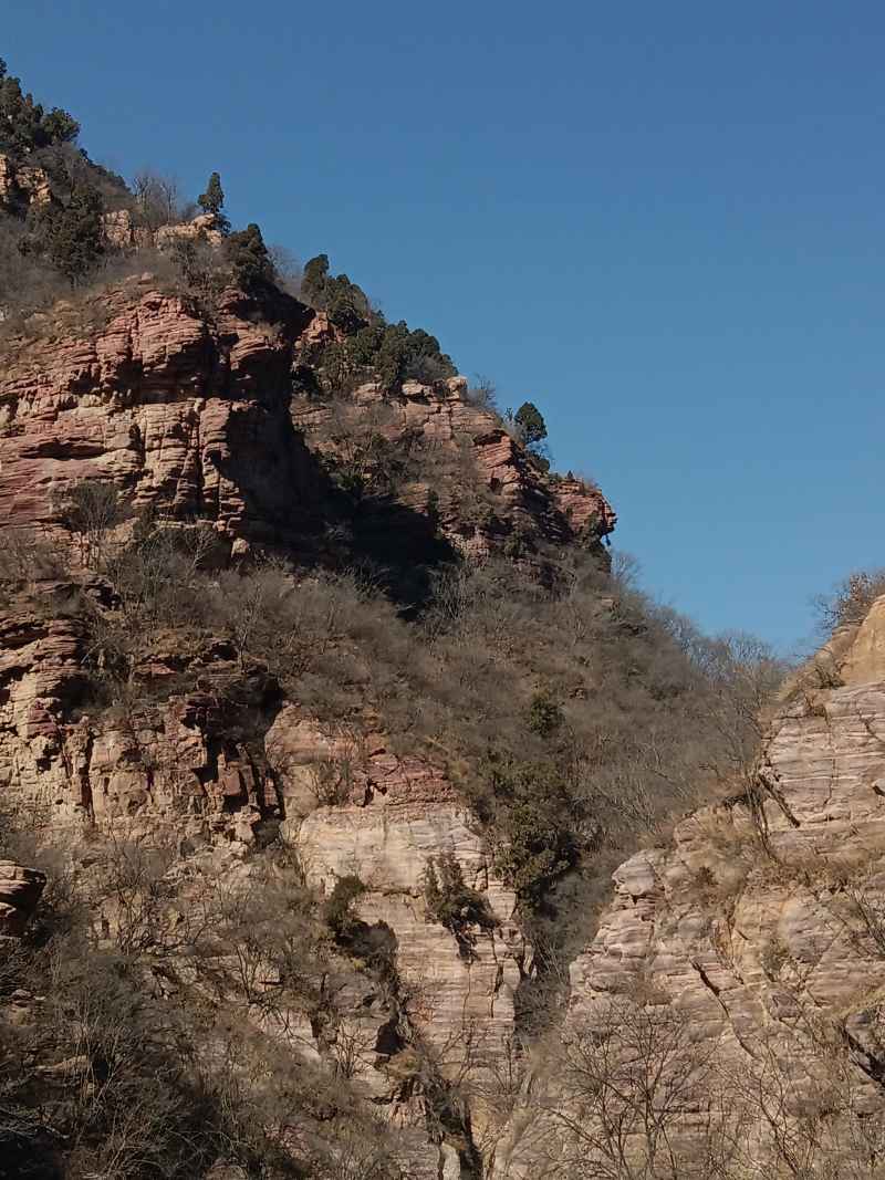 山