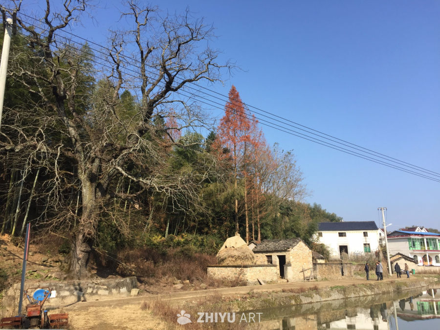 乡村宁静的冬日景色