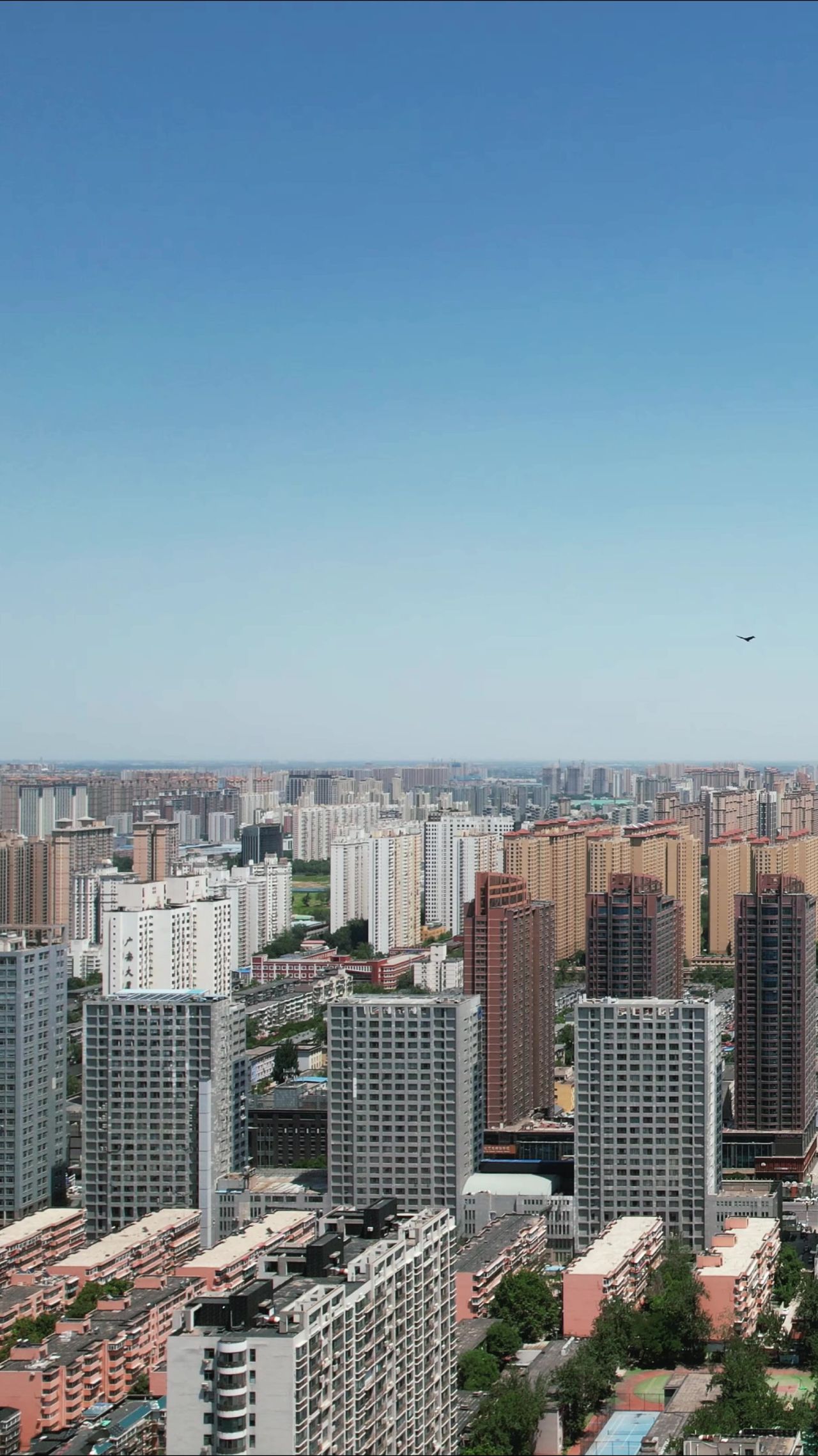 河北石家庄城市风光竖屏航拍 