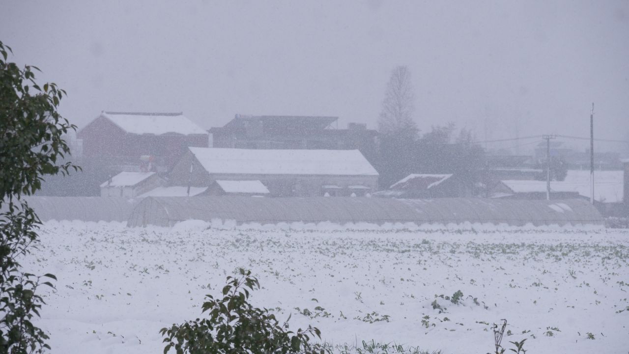 下雪了