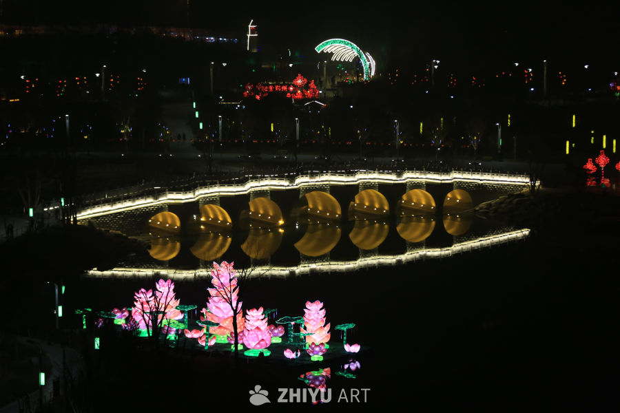 夜景中的荷花灯
