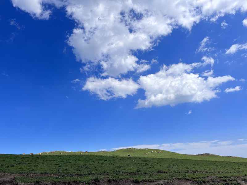 草原天空