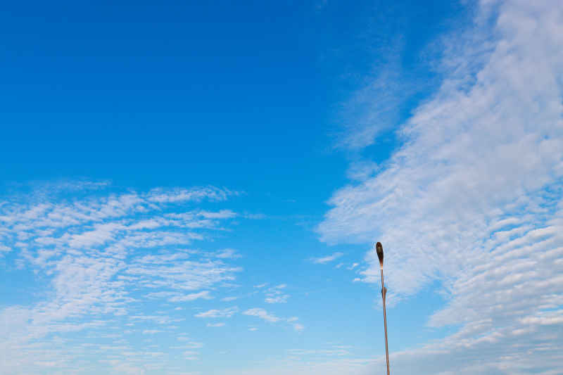 夏日风景 1