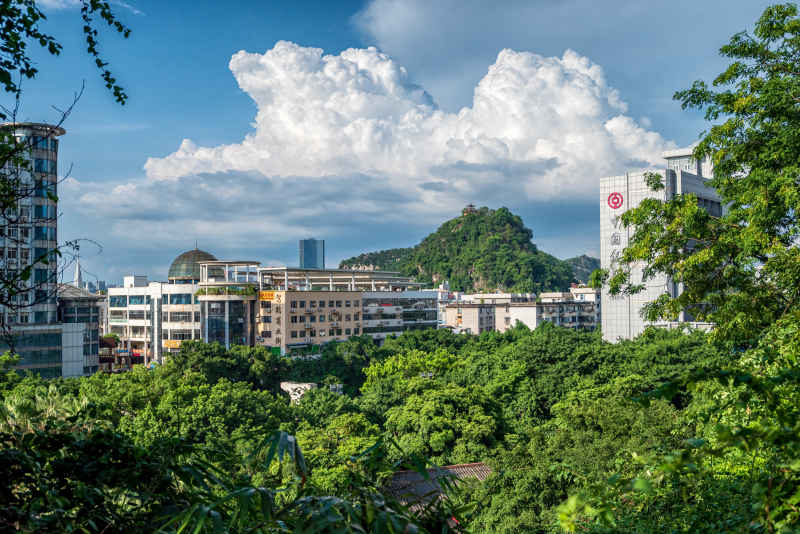 山
