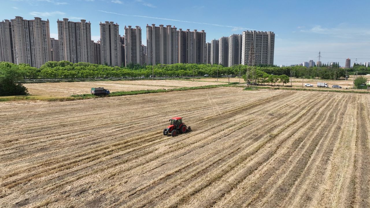 4K航拍昆山农业夏收 49