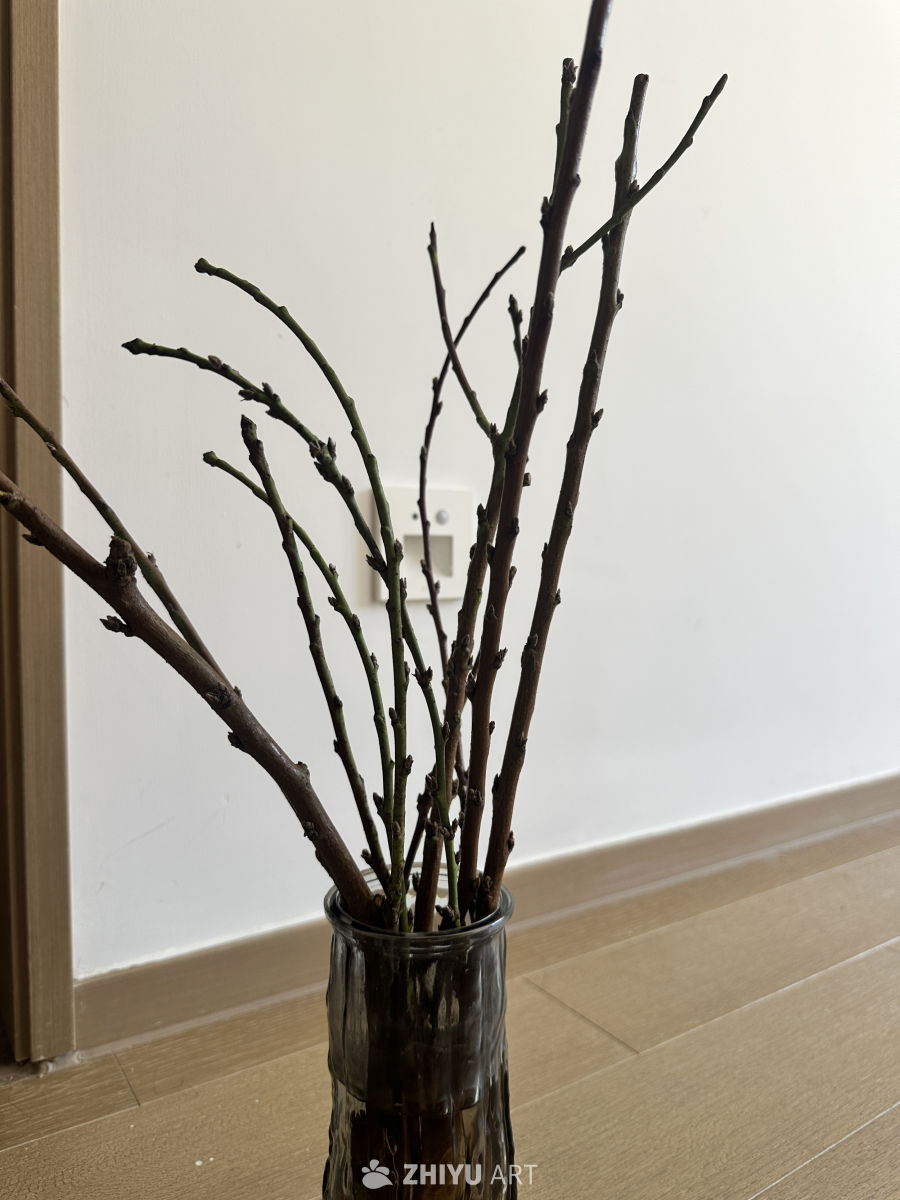 干枝静置于花瓶中