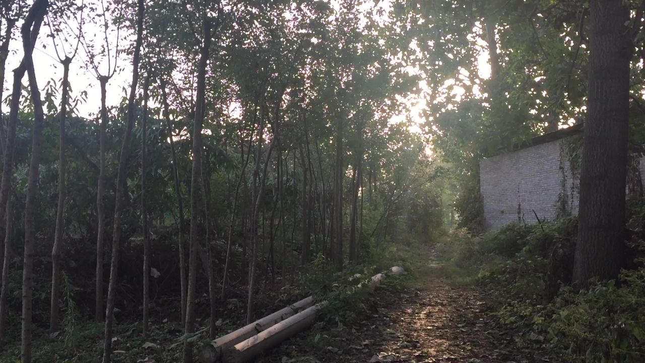 手持稳定器 手机拍摄