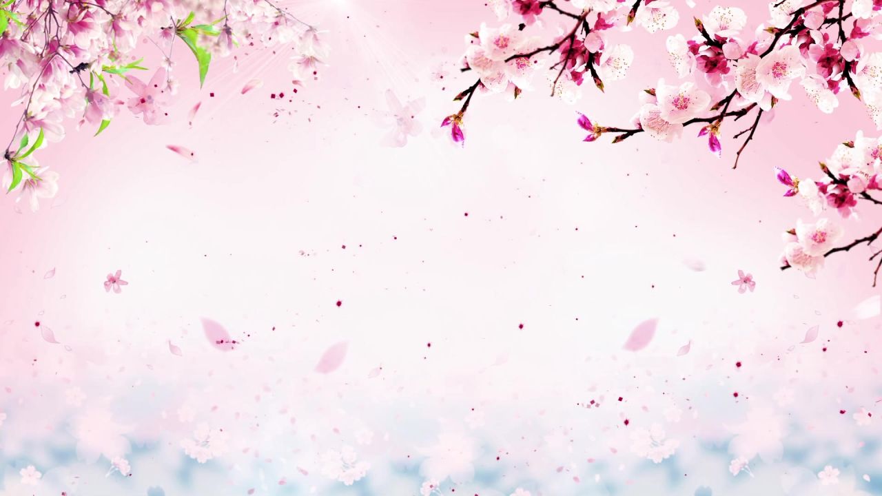 温馨粉色动态视频 