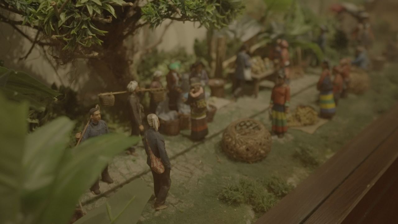 博物馆 8