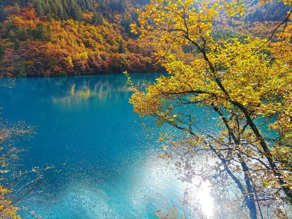 九寨沟秋景