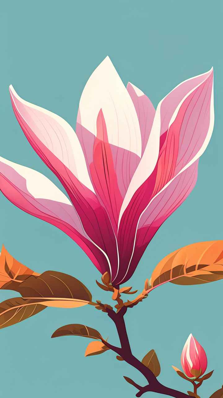 春季玉兰花扁平插画 9