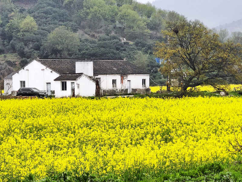 江南山间小屋