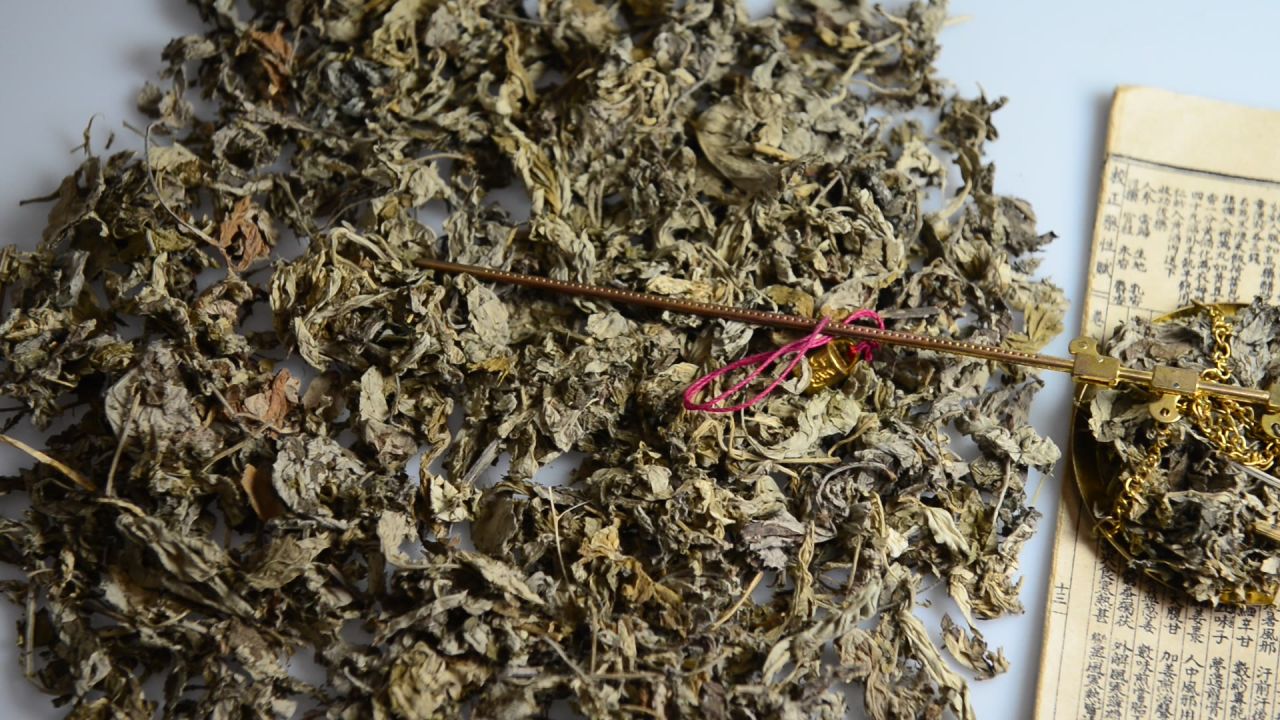 艾叶中草药 22