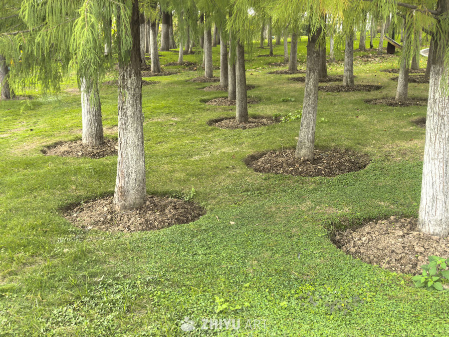 期许一场花开的绚烂，静赏一场花落的淡然！