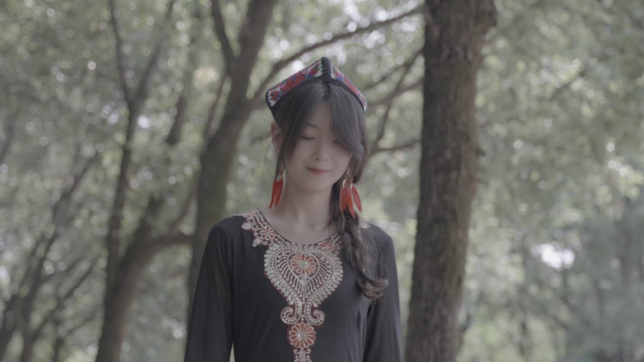 森林中的传统之美