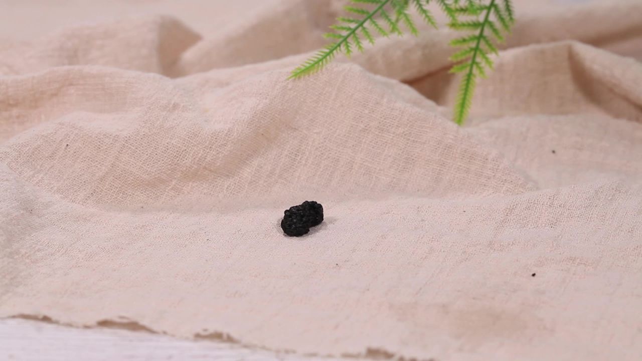 桑葚
