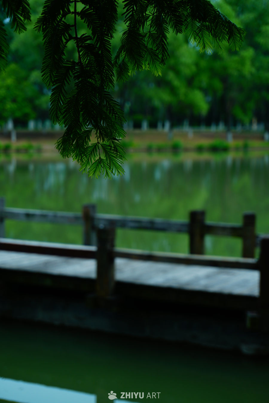 自然，城市，风光 54
