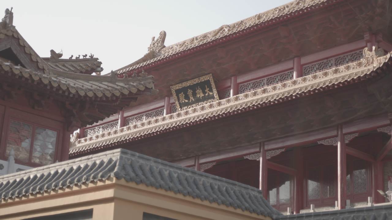 【实拍样片】佳能EOS R7相机实拍原片视频 11