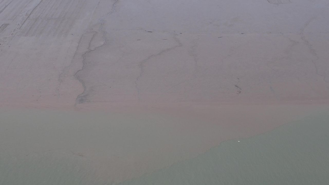 退潮后大海赶海实拍 