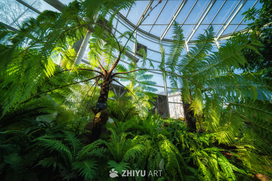 温室植物园，光影温馨 1