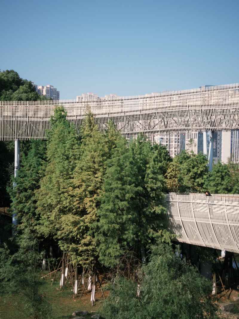 森林公园