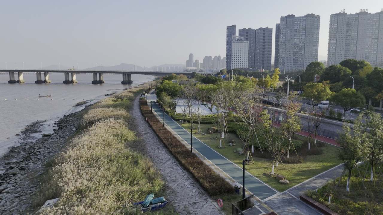 江边公园 5
