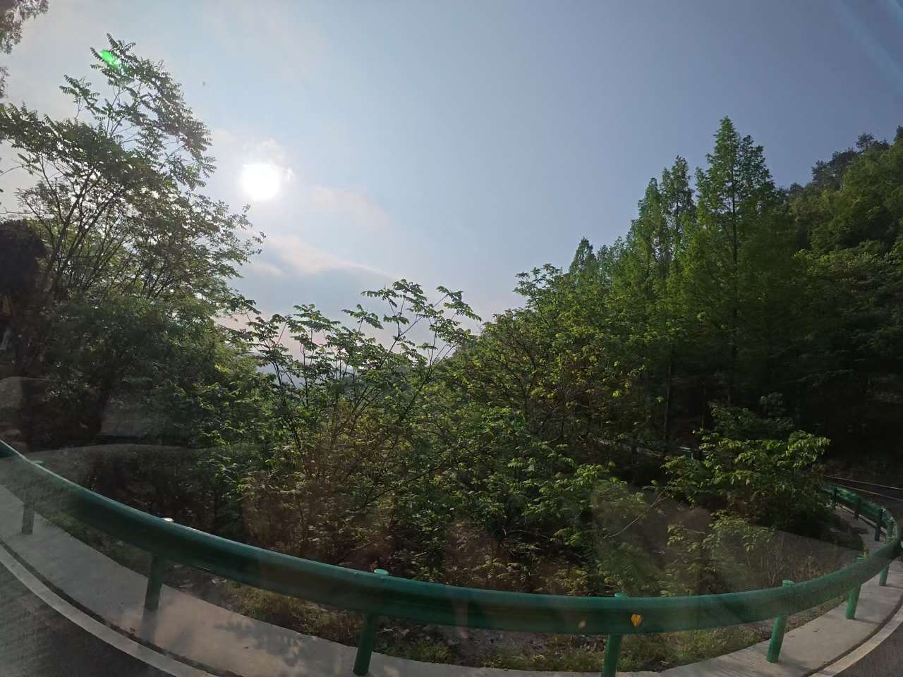 森林中的阳光之路