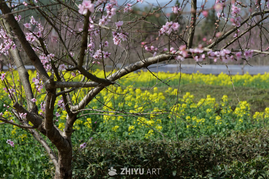 景区一角 17