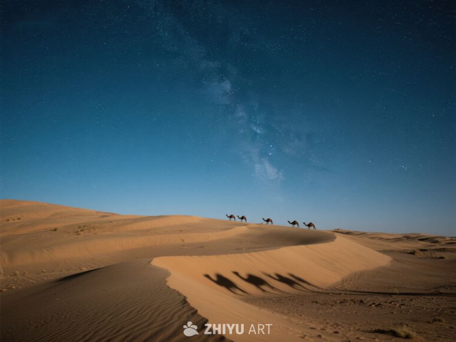 夜空下的沙漠驼队 328
