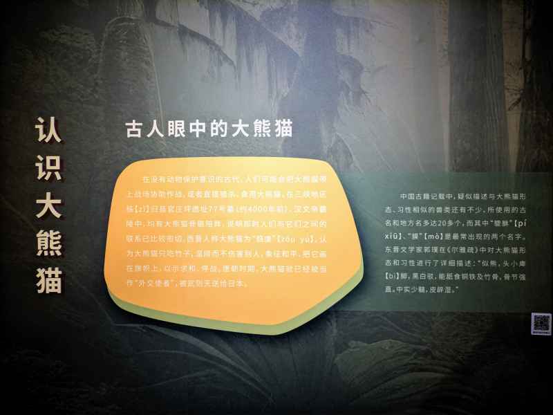 深圳博物馆 2