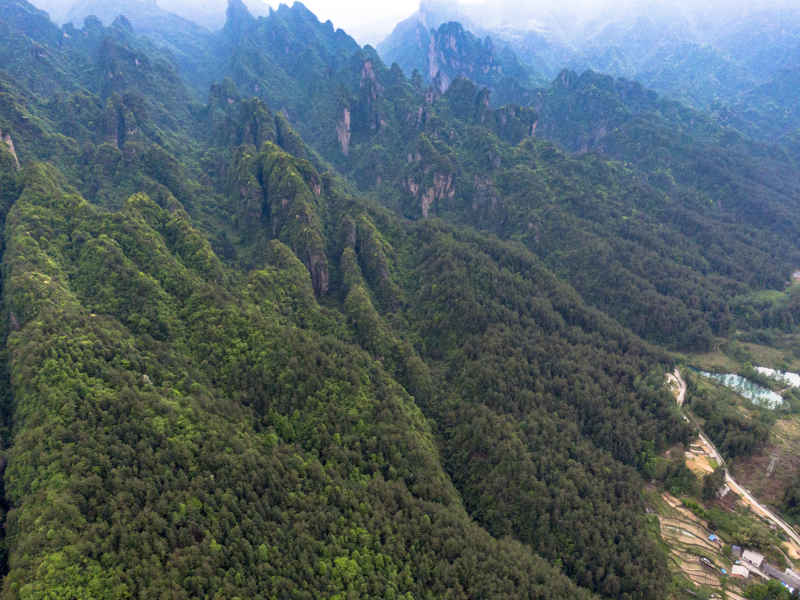 湖南张家界武陵源宝峰湖