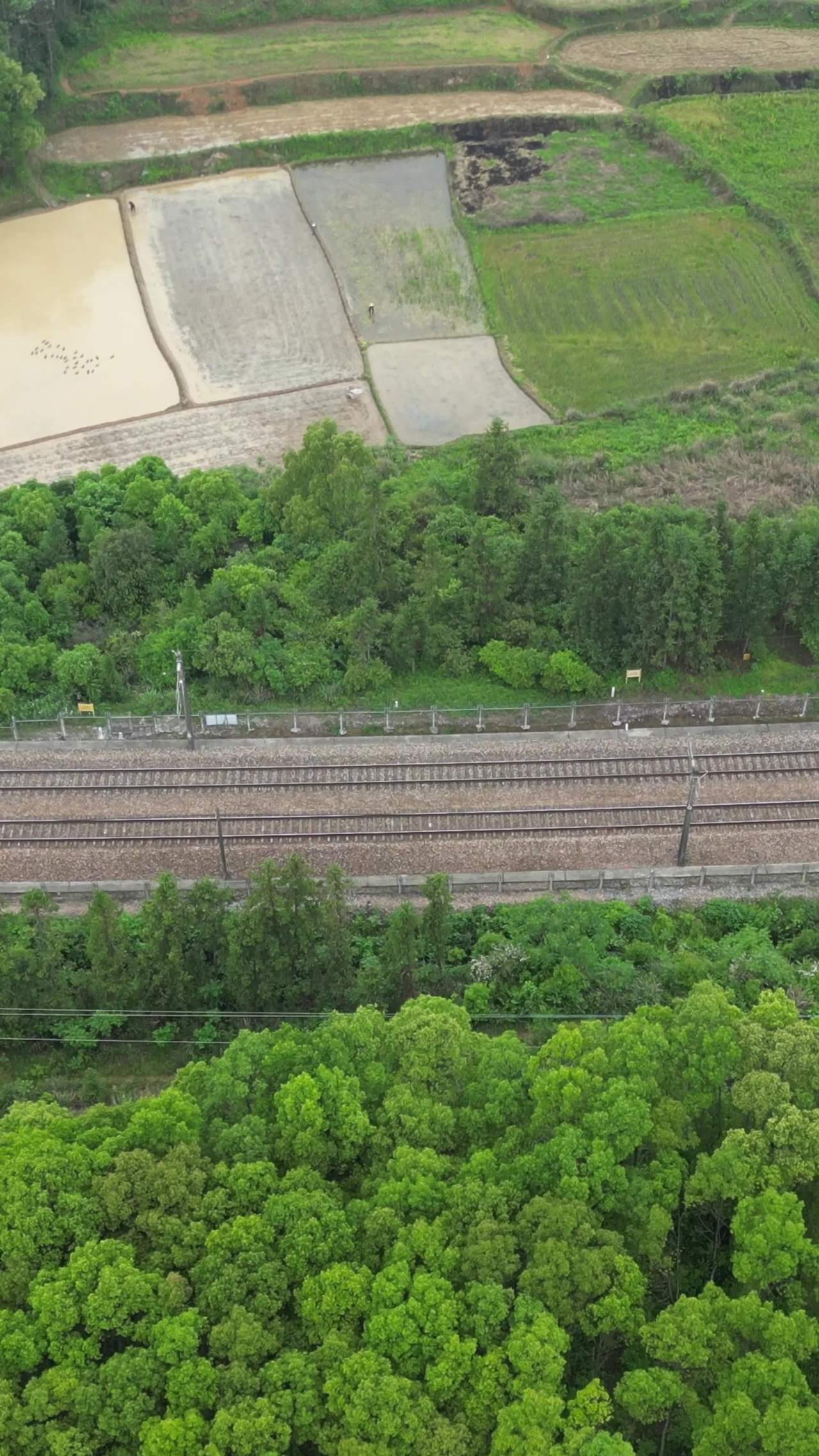 铁轨与田野的和谐共处
