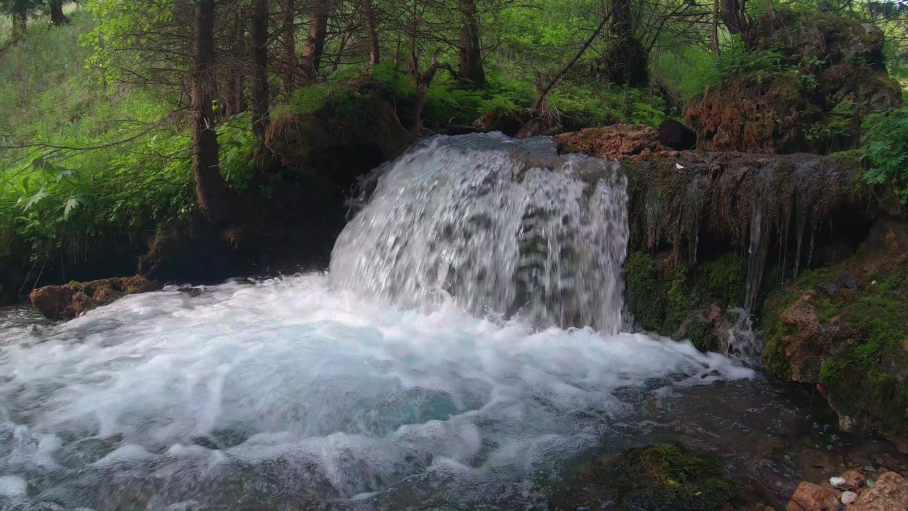 4k自然河流小溪流水雨林树木
