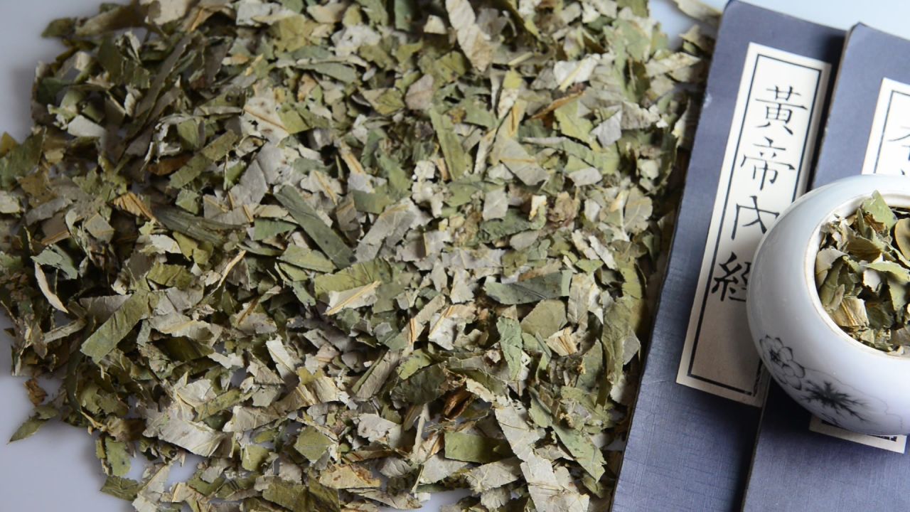 荷叶中药材 7