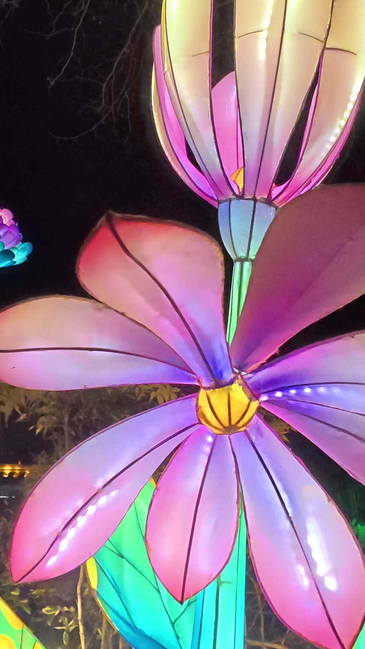 夜色中的花灯