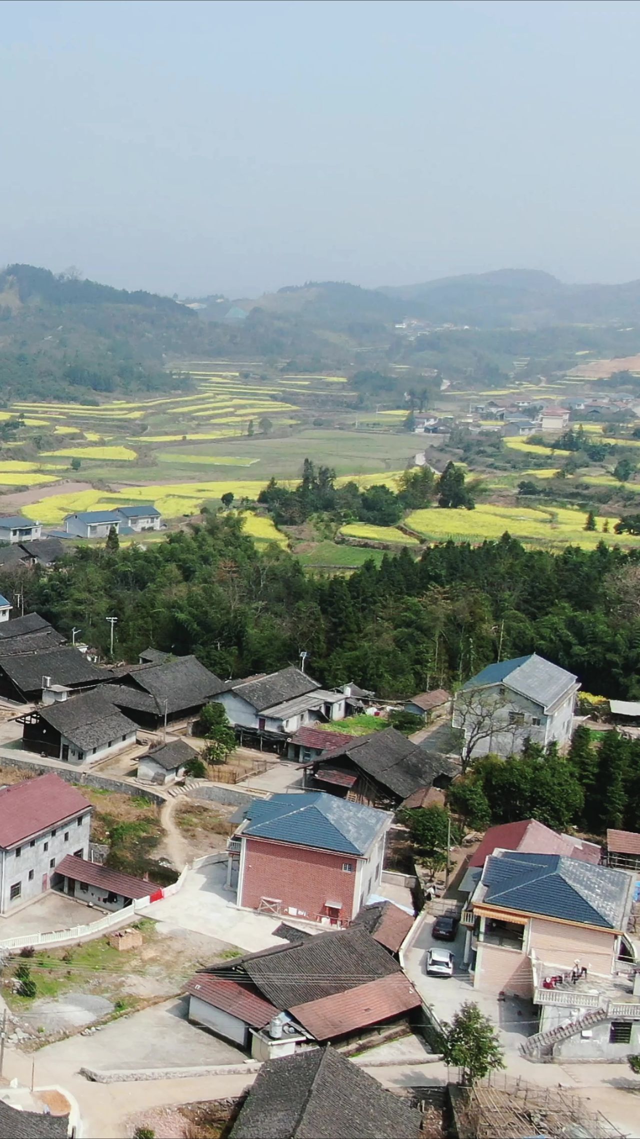 湖南传统村落油菜花竖屏航拍