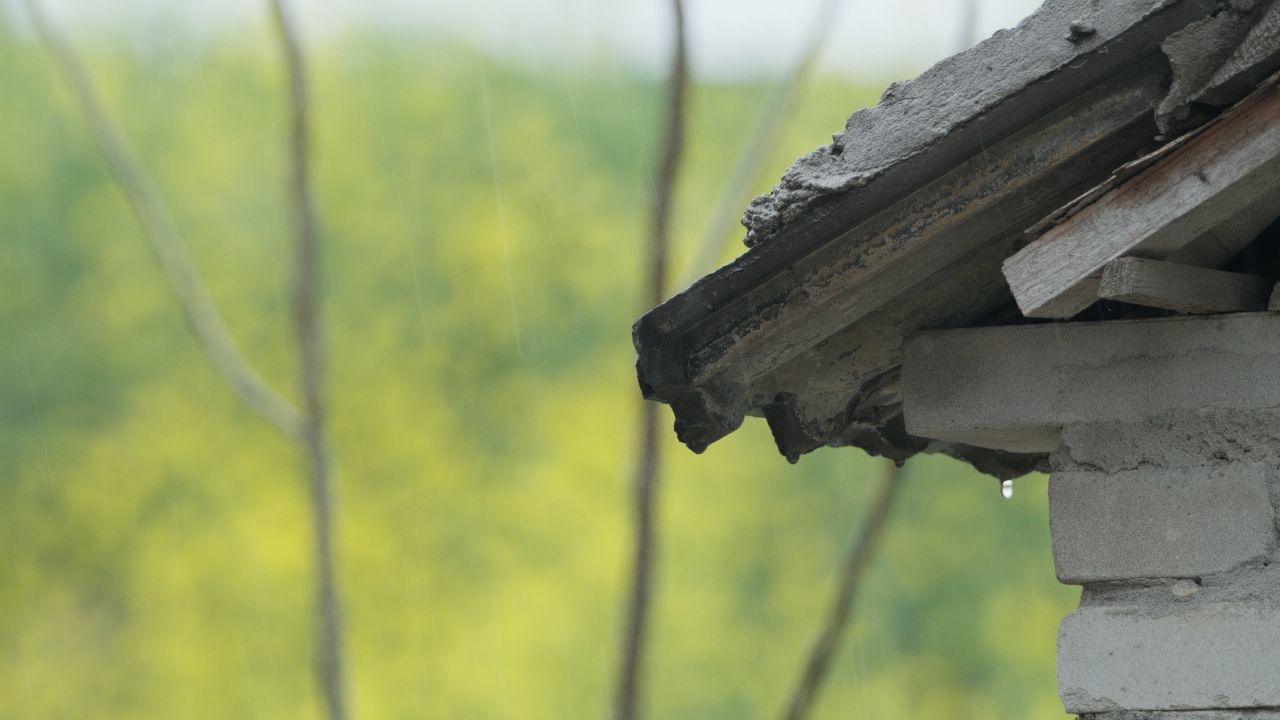 下雨瓦片油菜花变焦实拍