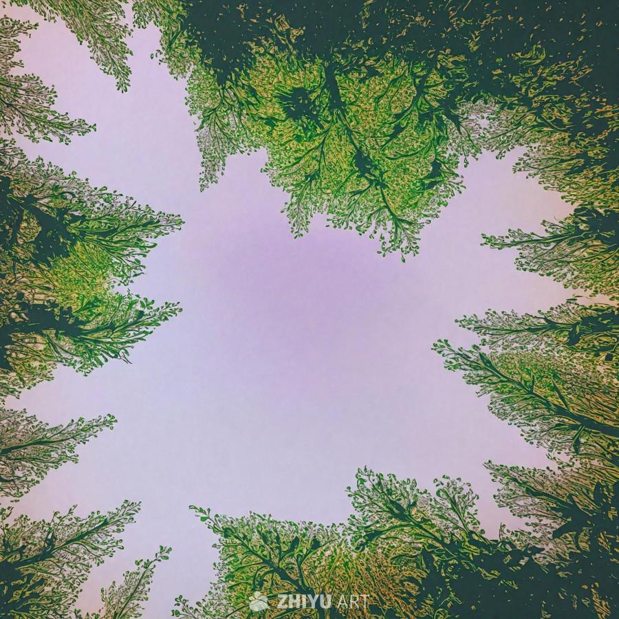 画面以倒置的视角呈现一棵树，树冠茂盛，绿叶繁密。树