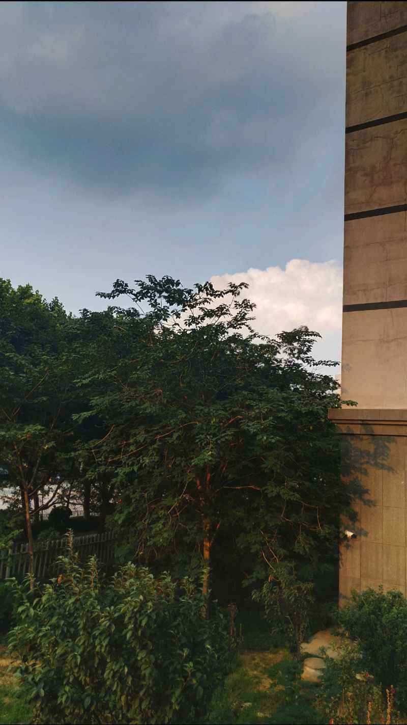 树