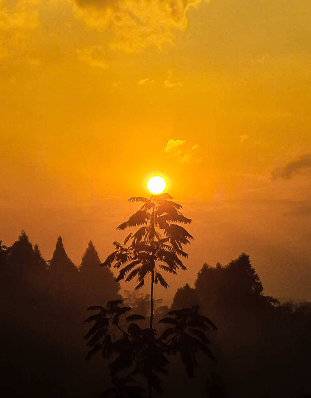 阳光