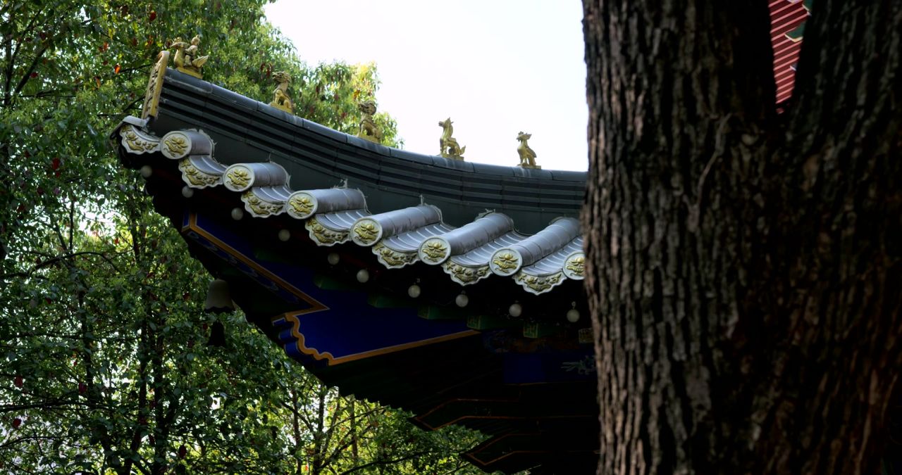 湖南长沙松柏寺古典建筑之美实拍视频