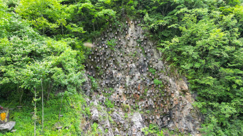  航拍湖北神农架官门山景区悬崖蜂箱
