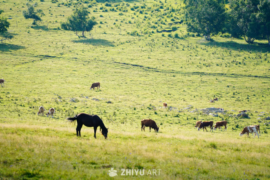 内蒙古东部小环线随拍 6