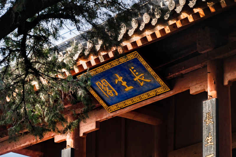 寺庙 11