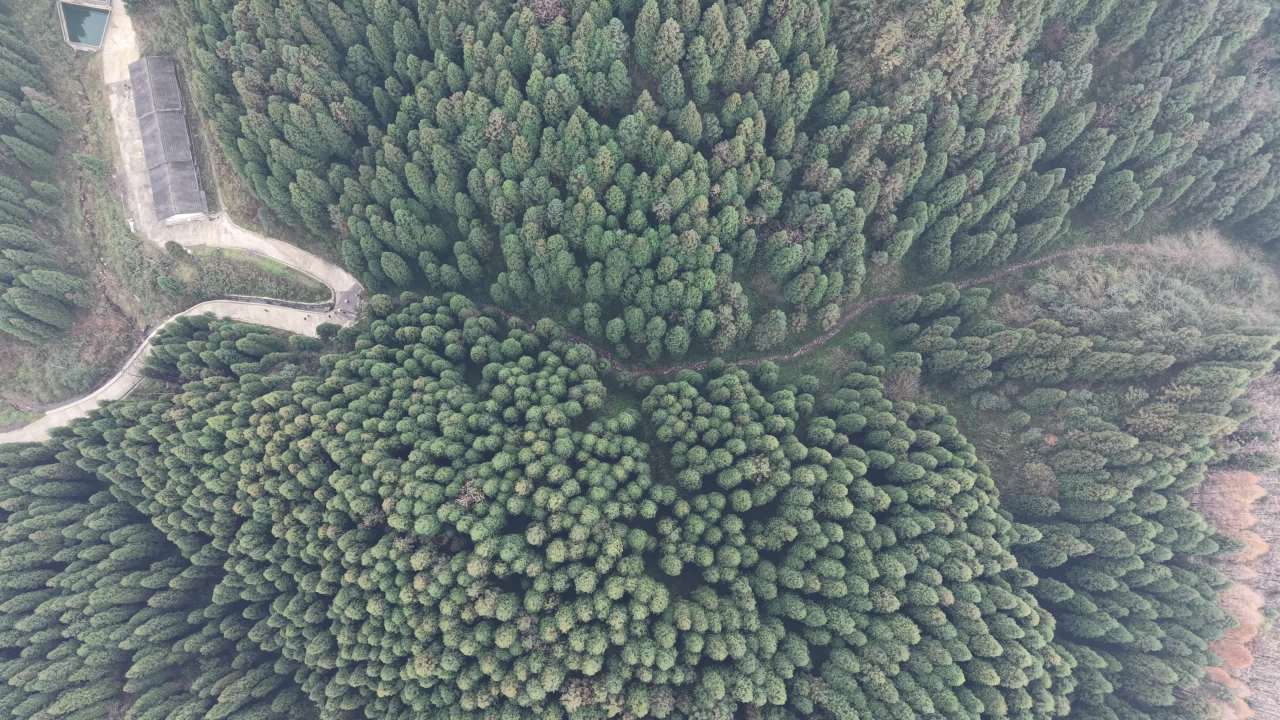 DJI_20251125133218_0029_D 12