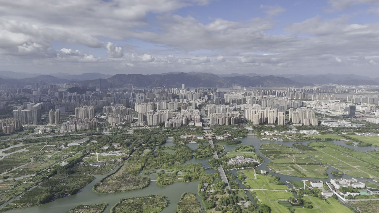 湿地与城市 7