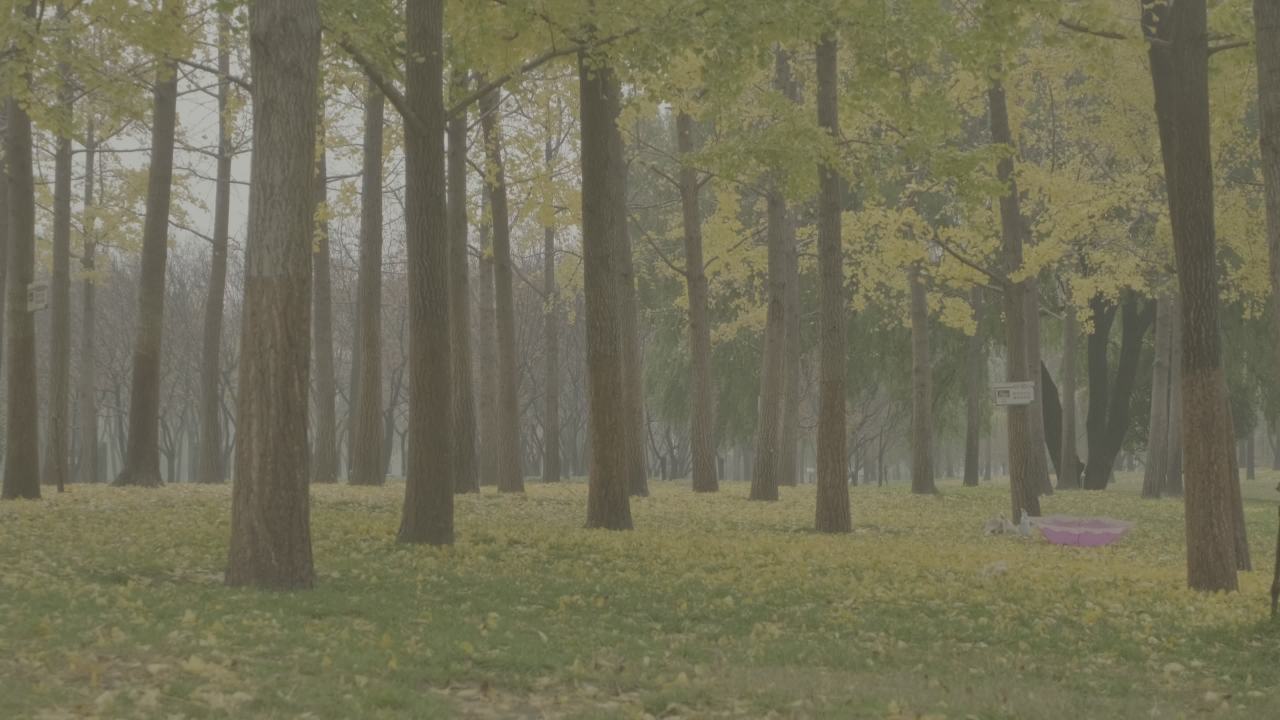 【实拍样片】富士X-S20相机实拍原片视频 4