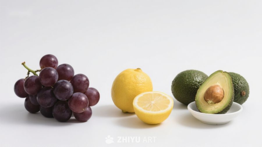 葡萄柠檬与牛油果的静物组合